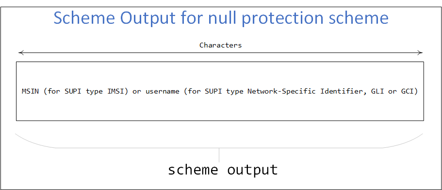 Scheme output for null protection scheme struct
